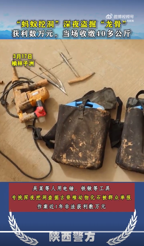 微信截图_20240401141930.jpg