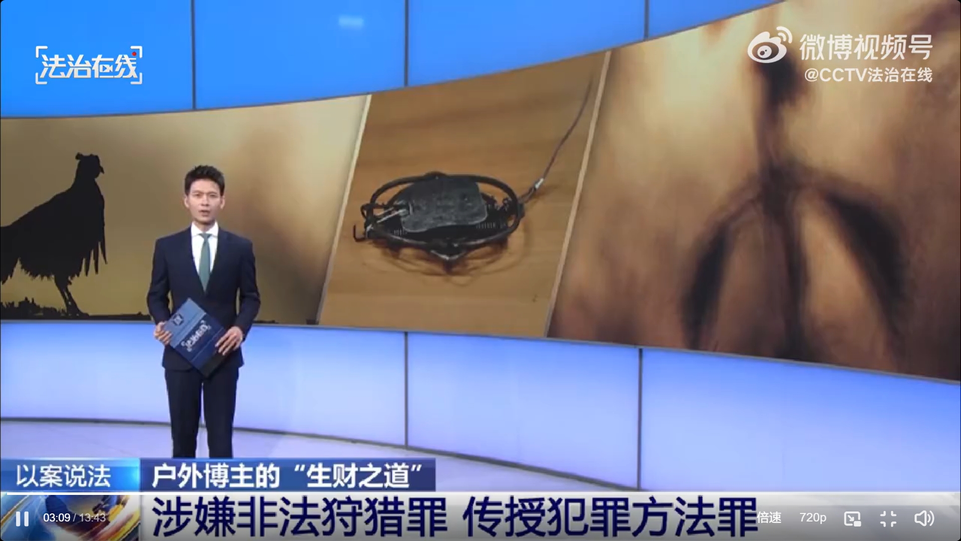 微信截图_20250211162007.jpg