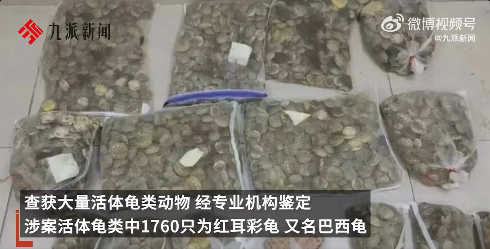 微信截图_20250226163724.jpg